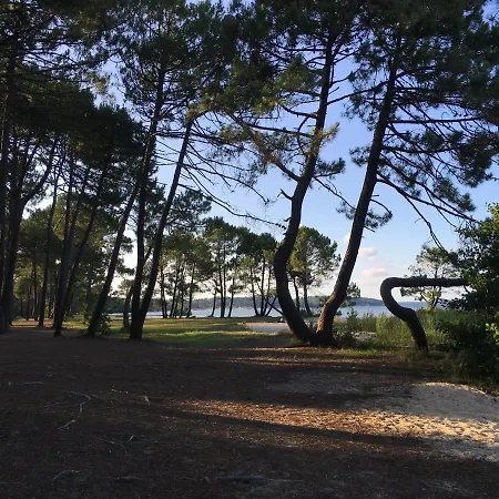 Appartement Le Domaine De Gascogne - 2 Pieces 4/5 Personnes *